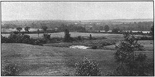 Wolf Pit Meadows